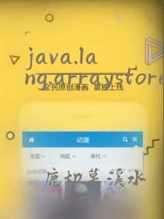 java.lang.arraystoreexception