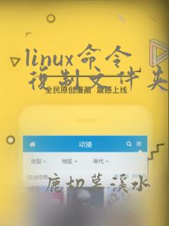 linux命令复制文件夹到指定目录