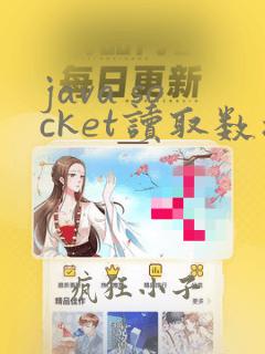 java socket读取数据