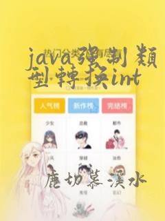 java强制类型转换int