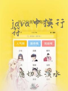 java中换行符