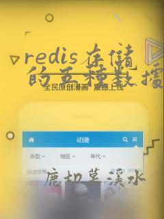 redis存储的五种数据类型