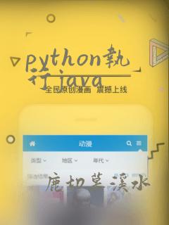 python执行java