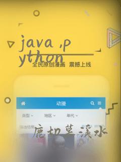 java ,python