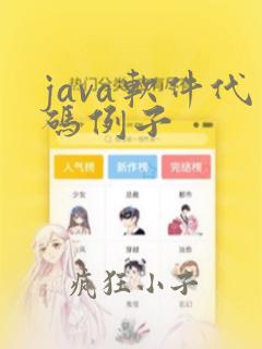 java软件代码例子