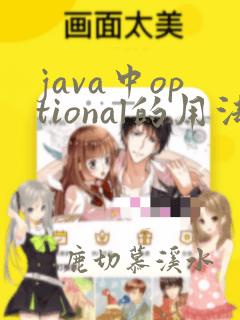 java中optional的用法