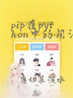 pip在python中的用法