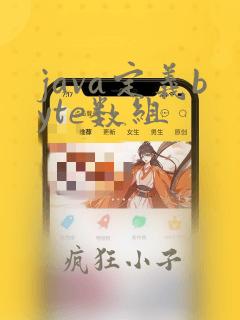 java定义byte数组