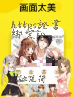 https证书绑定ip