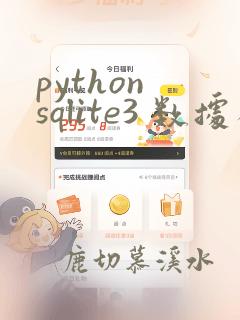 python sqlite3 数据类型