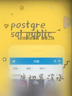 postgresql public