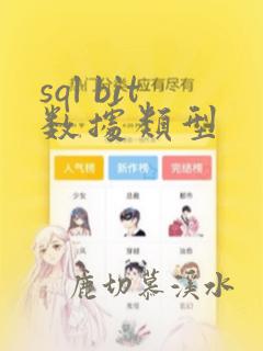 sql bit数据类型