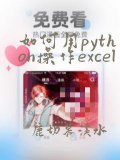 如何用python操作excel