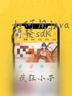 如何用java开发sdk