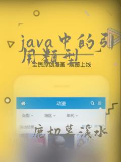 java中的引用类型
