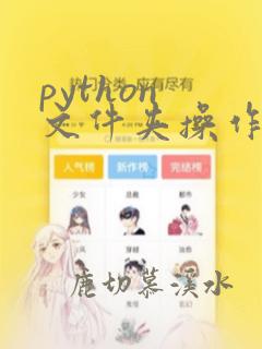 python 文件夹操作