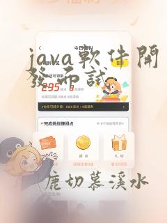 java软件开发面试
