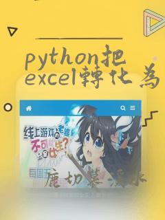 python把excel转化为二维列表