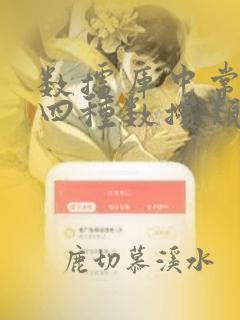 数据库中常用的四种数据类型