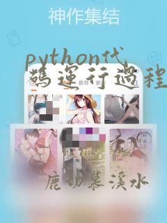 python代码运行过程