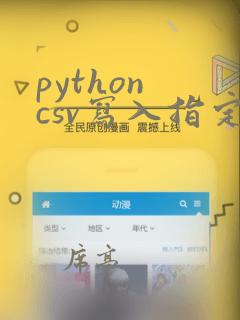 python csv写入指定列