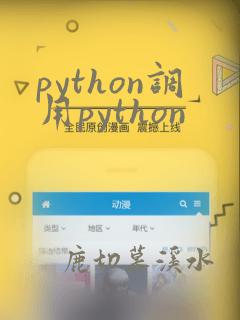 python调用python