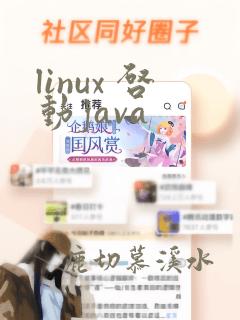 linux 启动java