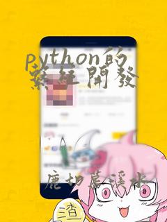python的系统开发
