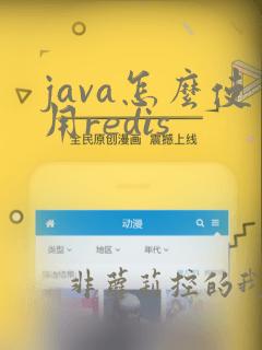 java怎么使用redis