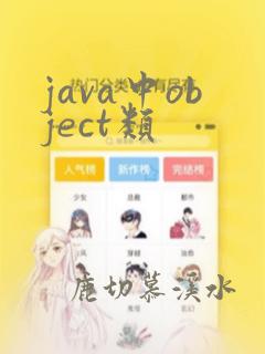 java中object类
