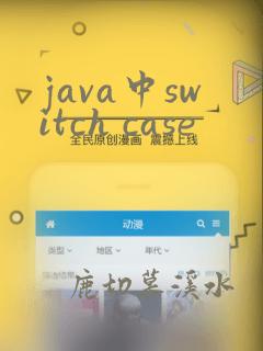 java中switch case