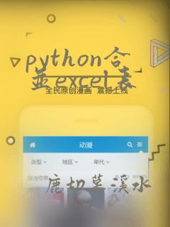 python合并excel表