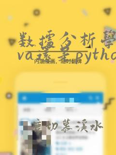 数据分析学java还是python
