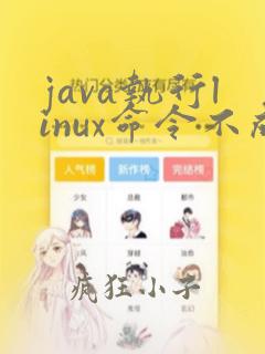 java执行linux命令不成功