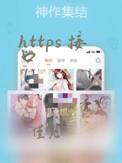 https 接口