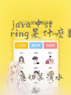 java中string是什么数据类型