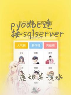 pyodbc连接sqlserver