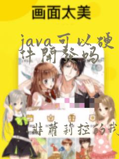 java可以硬件开发吗
