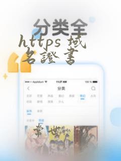 https 域名证书