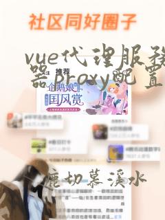 vue代理服务器proxy配置详解