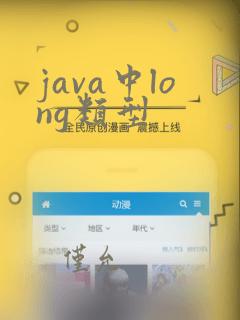 java中long类型