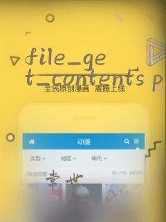 file_get_contents php: