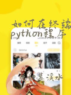 如何在终端运行python程序