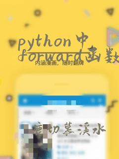 python中forward函数
