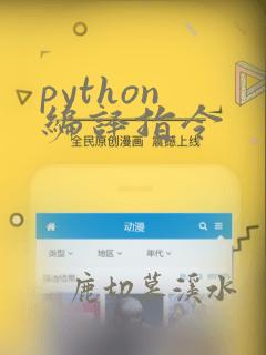 python 编译指令