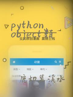 python object类