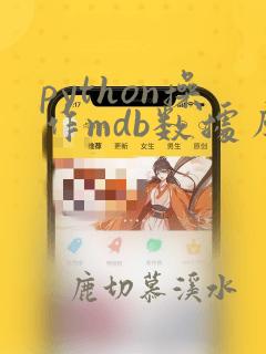 python操作mdb数据库