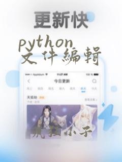 python 文件编辑