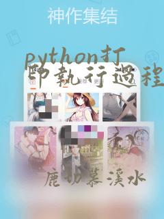 python打印执行过程的命令