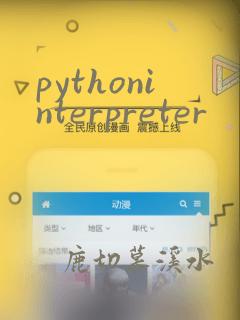 pythoninterpreter